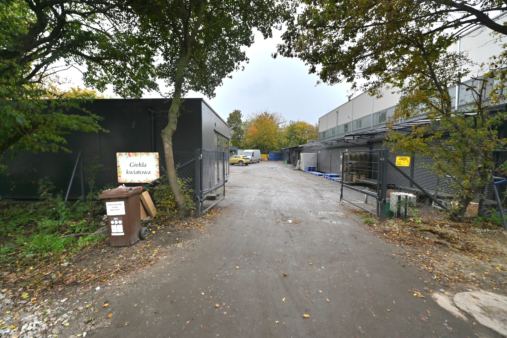 giełda kwiatowa wilda - Wojtek Wardejn - Radio Poznań