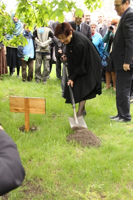 Grzegorz Maciejewski