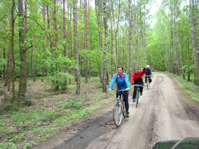 Piotr Niewiarowski, Piotr Niewiarowski jr