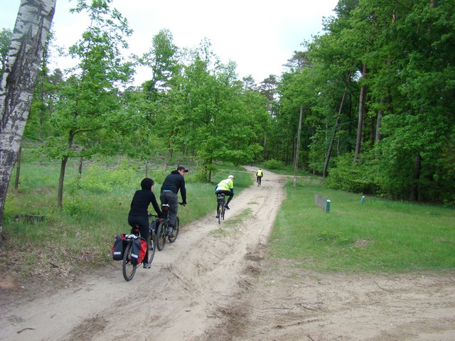 Piotr Niewiarowski, Piotr Niewiarowski jr