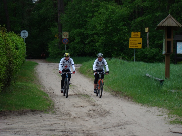 Piotr Niewiarowski, Piotr Niewiarowski jr