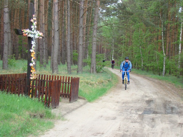 Piotr Niewiarowski, Piotr Niewiarowski jr