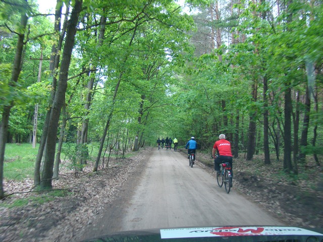 Piotr Niewiarowski, Piotr Niewiarowski jr