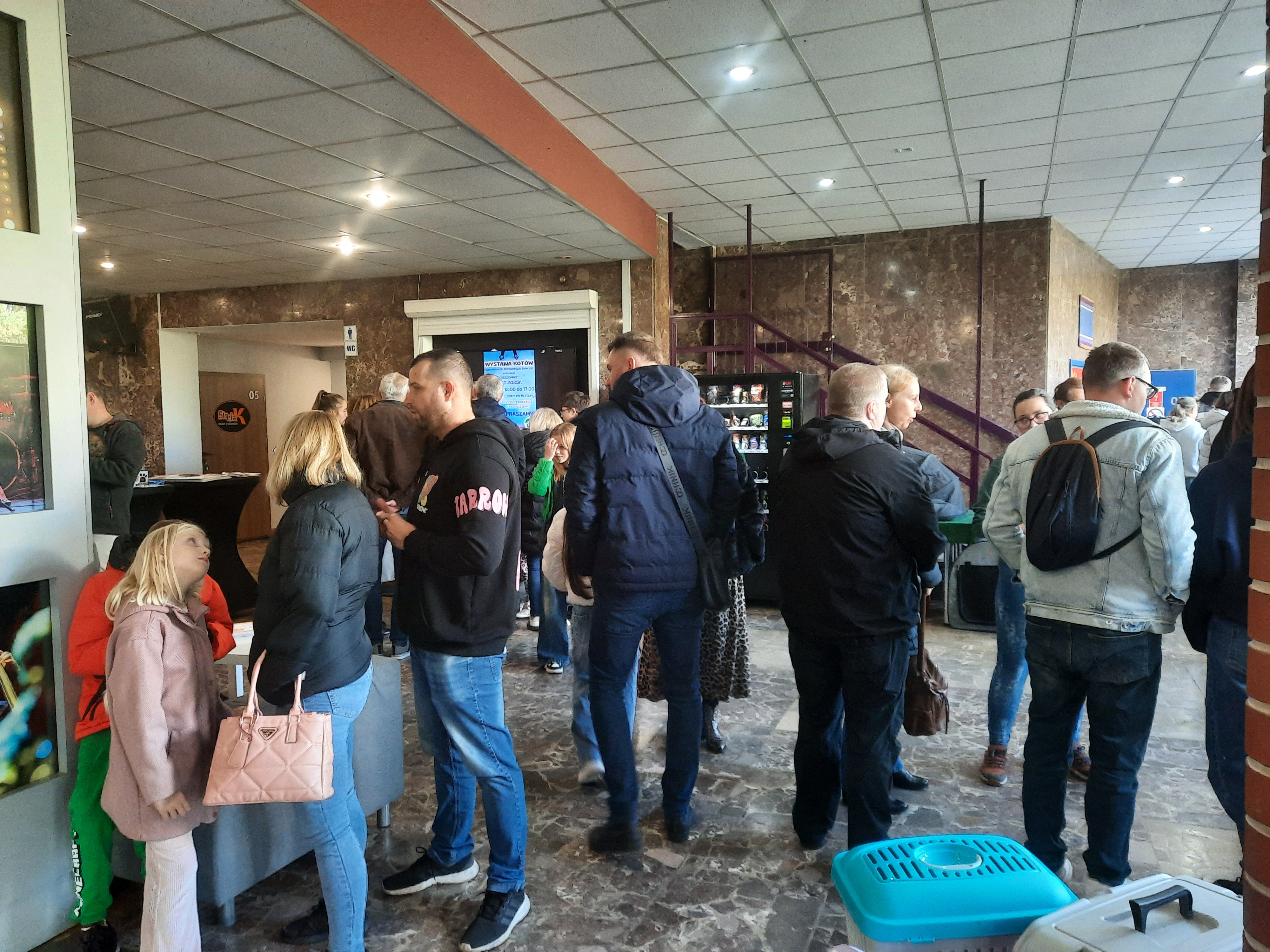 wystawa kotów - Michalina Maciaszek - Radio Poznań