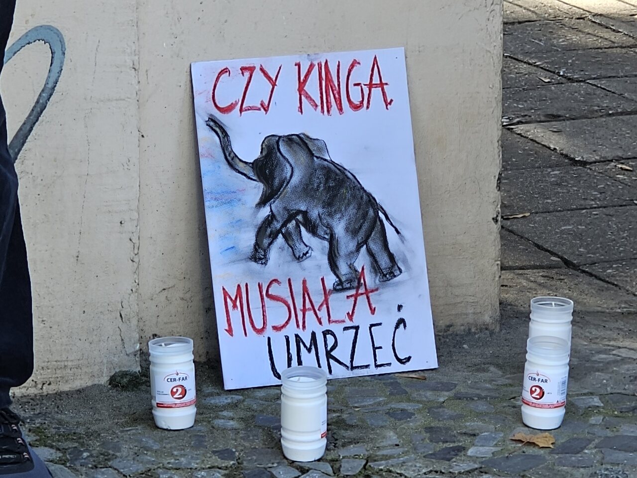 protest zoo - Julian Kozanecki - Radio Poznań