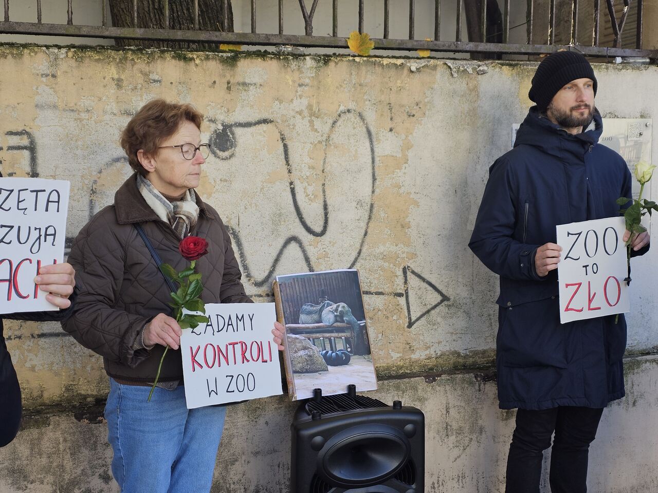 protest zoo - Julian Kozanecki - Radio Poznań