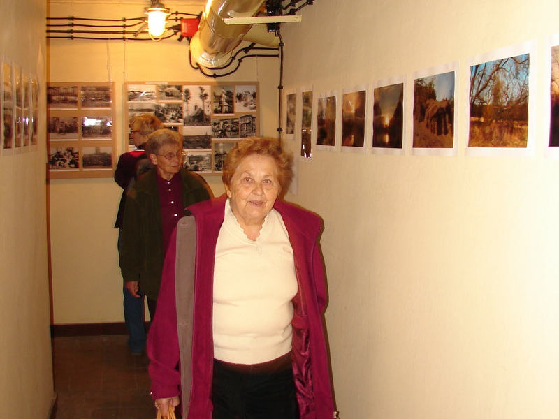 Galeria Bezdomna w schronie - Danuta Synkiewicz