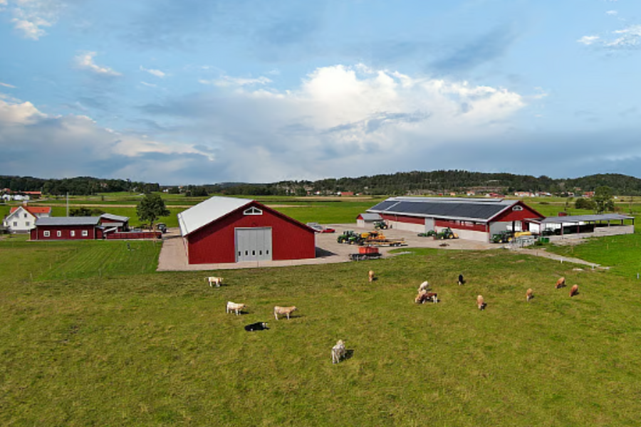 6 - Materiał sponsorowany