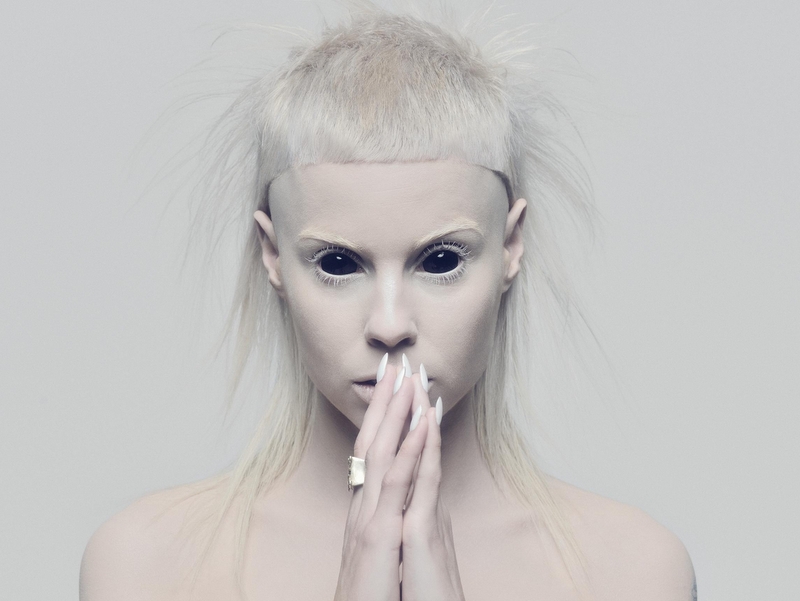 Yo Landi, Die Antwoord