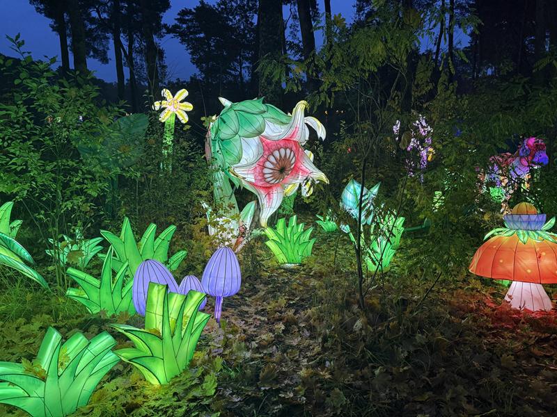 lumina park światła lampki iluminacja - Alicja Kotewicz - Radio Poznań