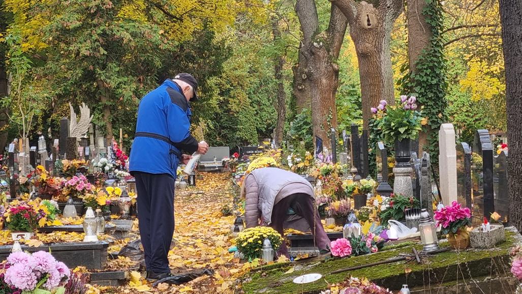 grób cmentarz porządki na grobach - Magda Konieczna