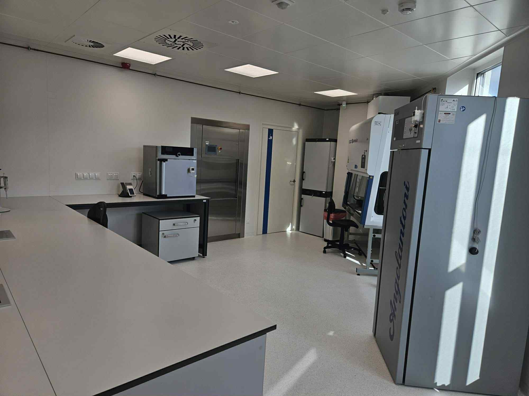 Aleksandra Włodarczyk