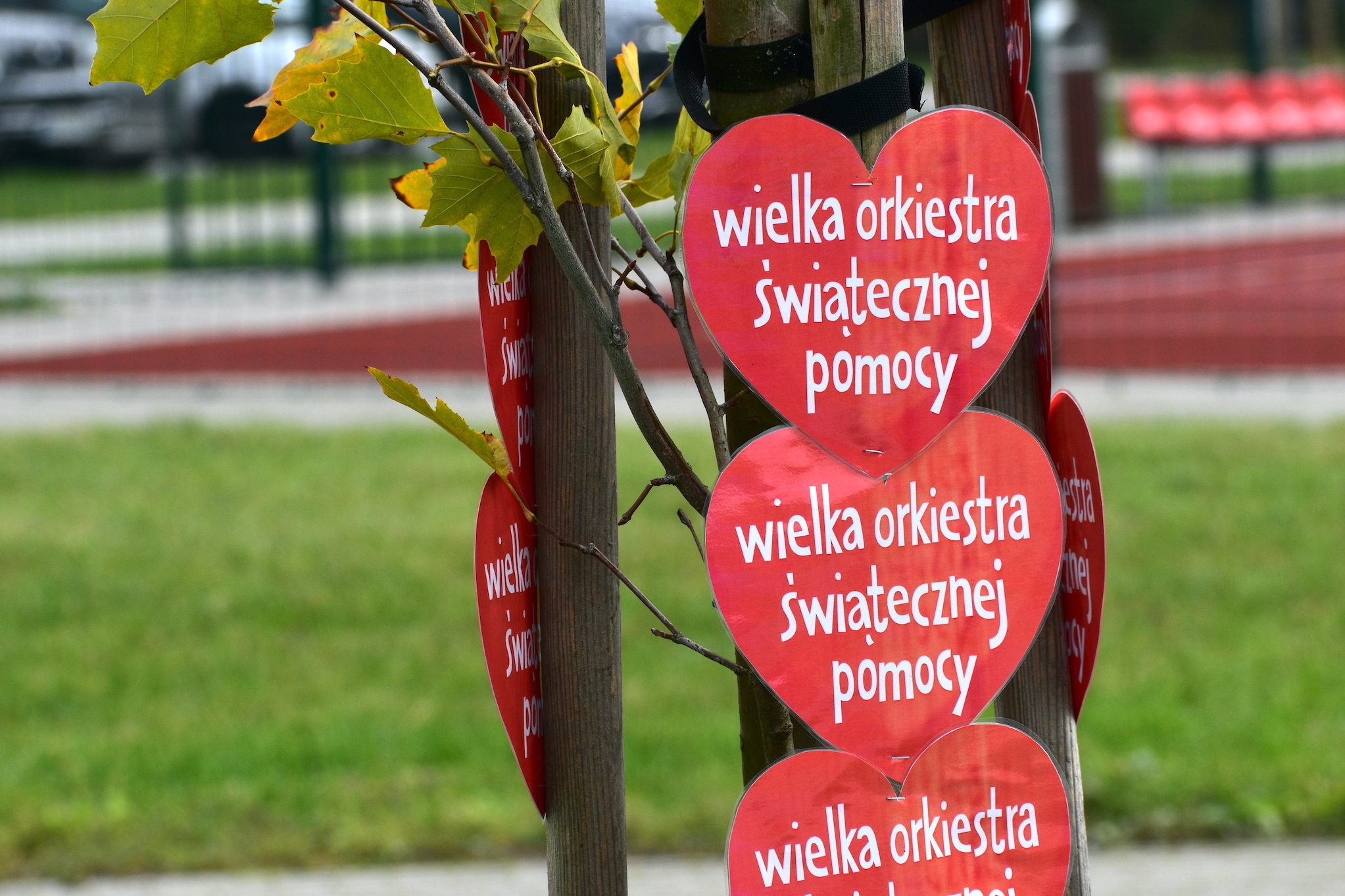 kamień wośp piła - UM w Pile