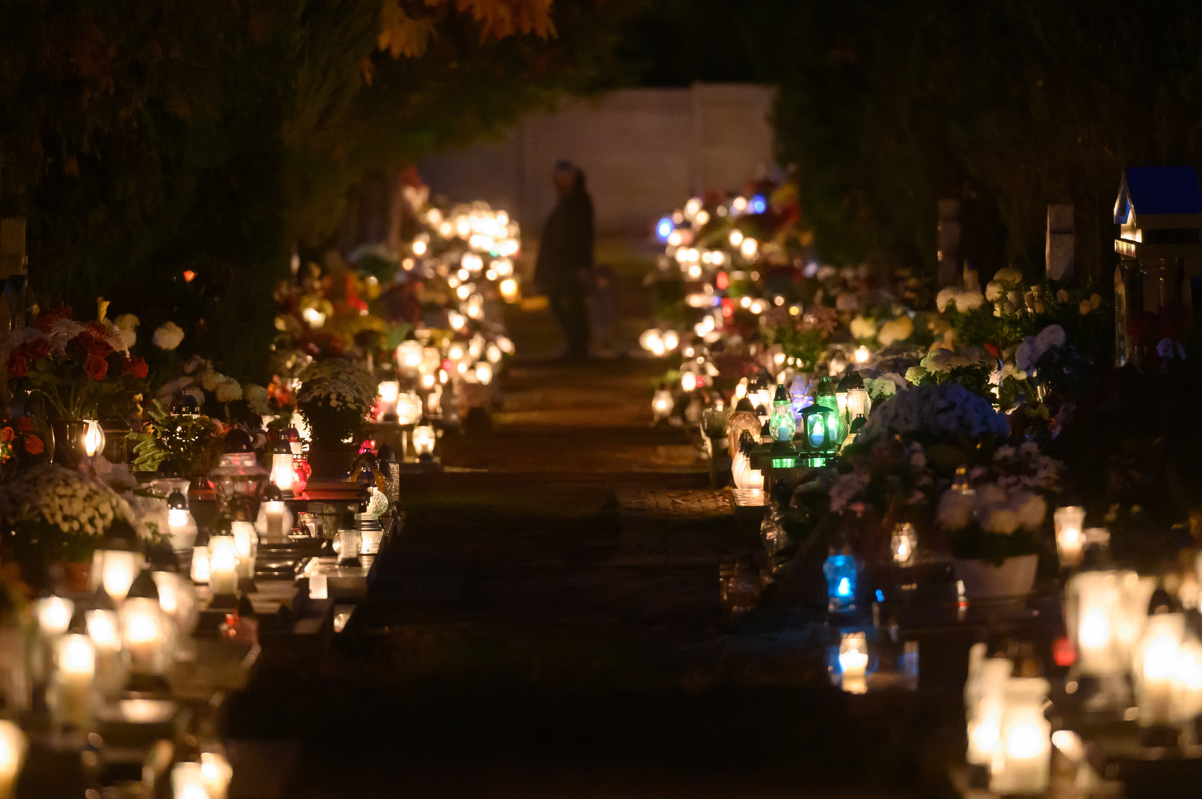 cmentarz poznań - Jakub Kaczmarczyk - PAP