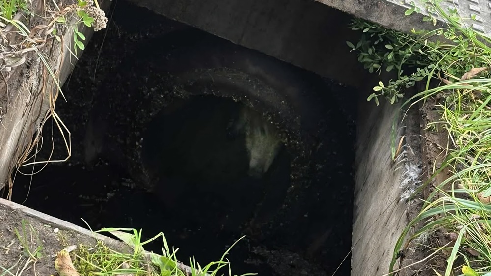 Screenshot_20251103_202455_Facebook - OSP Rogoźno