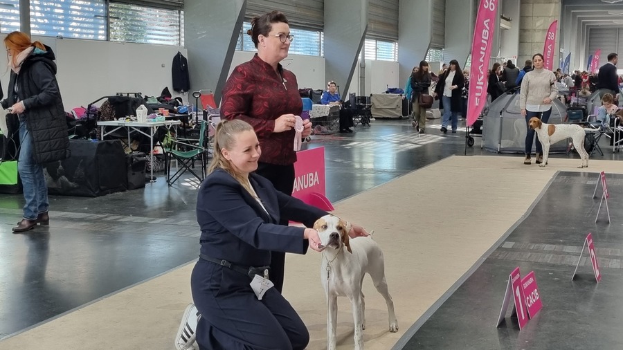 wystawa psów mtp - Magdalena Konieczna - Radio Poznań