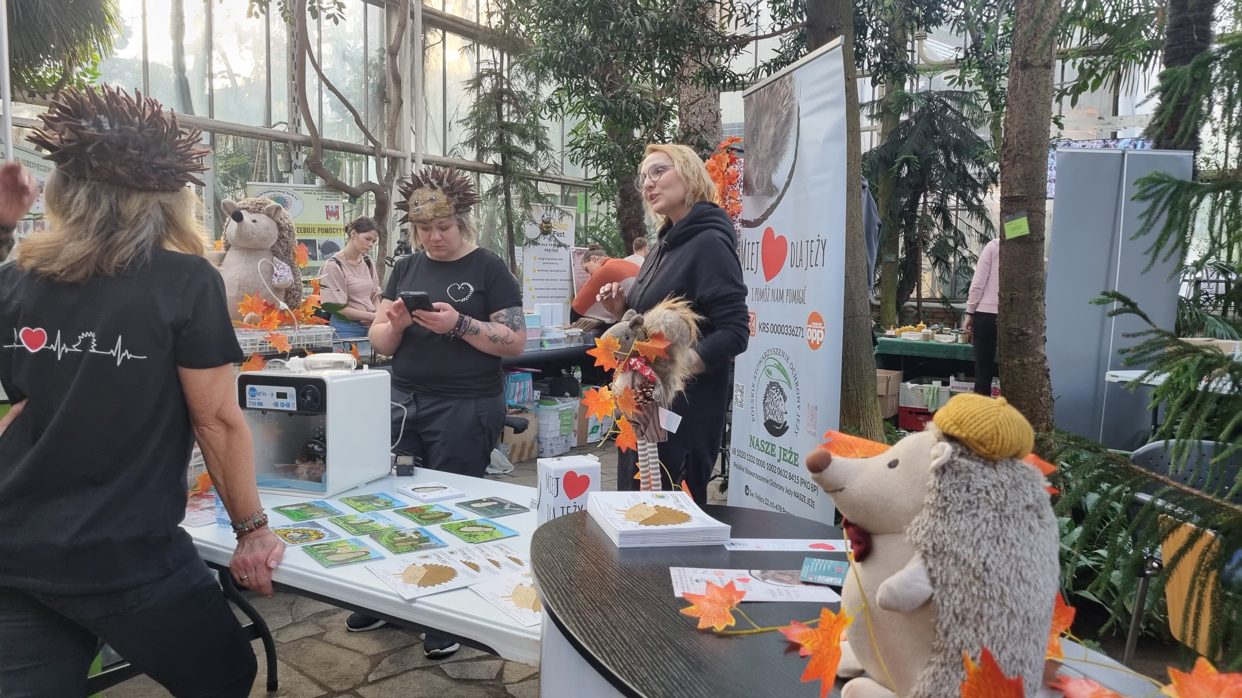 jeże - Magdalena Konieczna - Radio Poznań