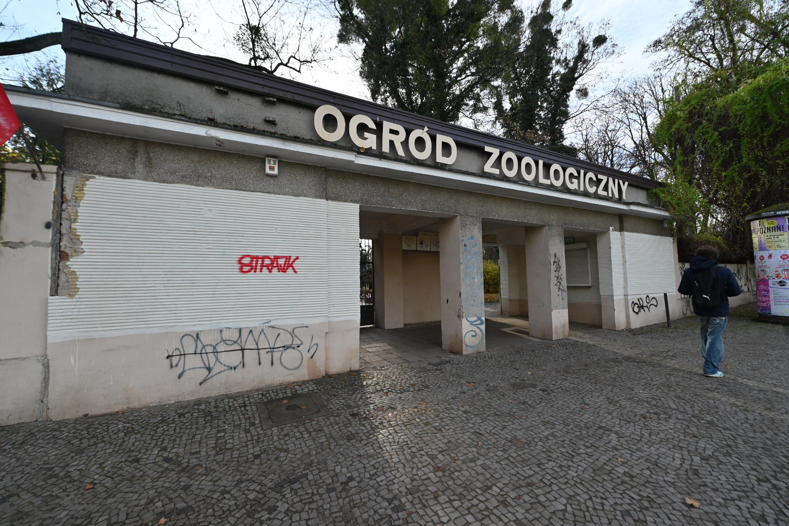 zoo - Wojtek Wardejn - Radio Poznań