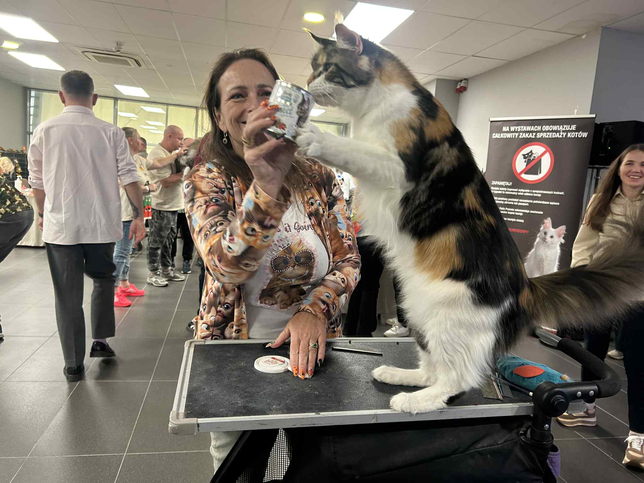 Koty wystawa - Szymon Majchrzak - Radio Poznań