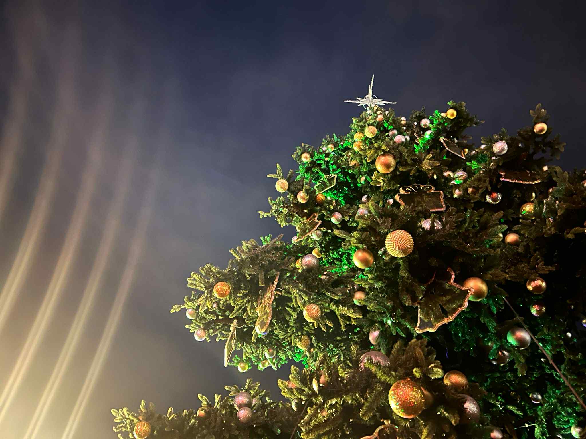 choinka - Szymon Majchrzak - Radio Poznań