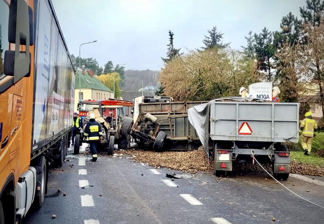 ujście karambol ziemniaki - KPP w Pile