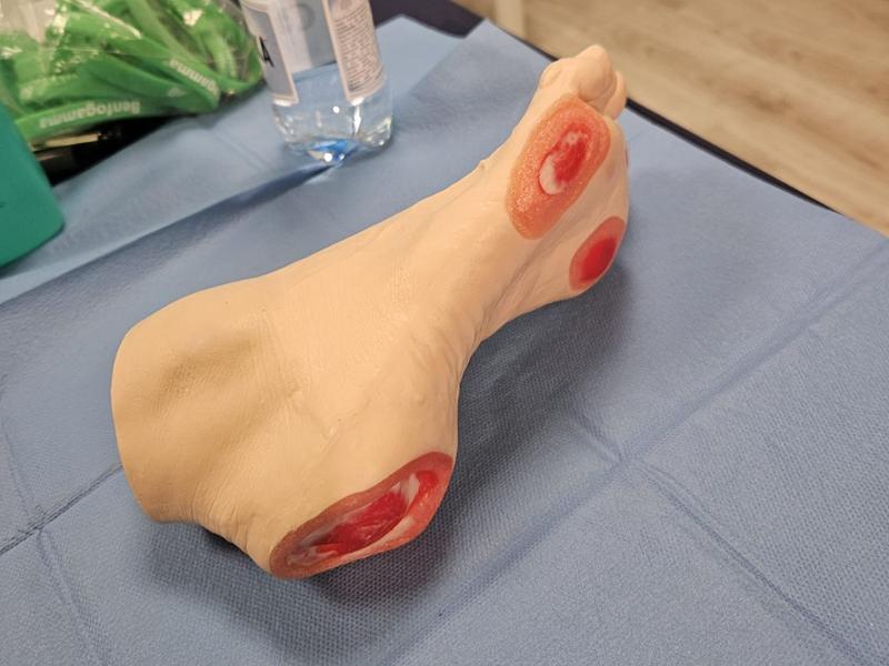 Aleksandra Włodarczyk