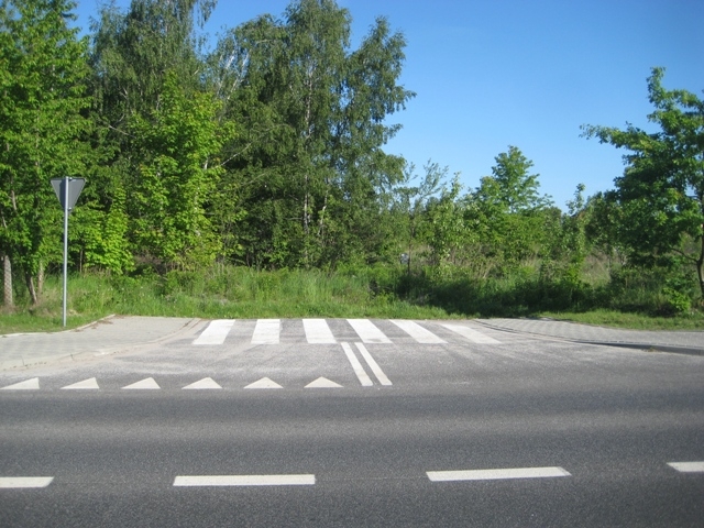 Ulica donikąd - Zaniemyśl - Rafał Regulski