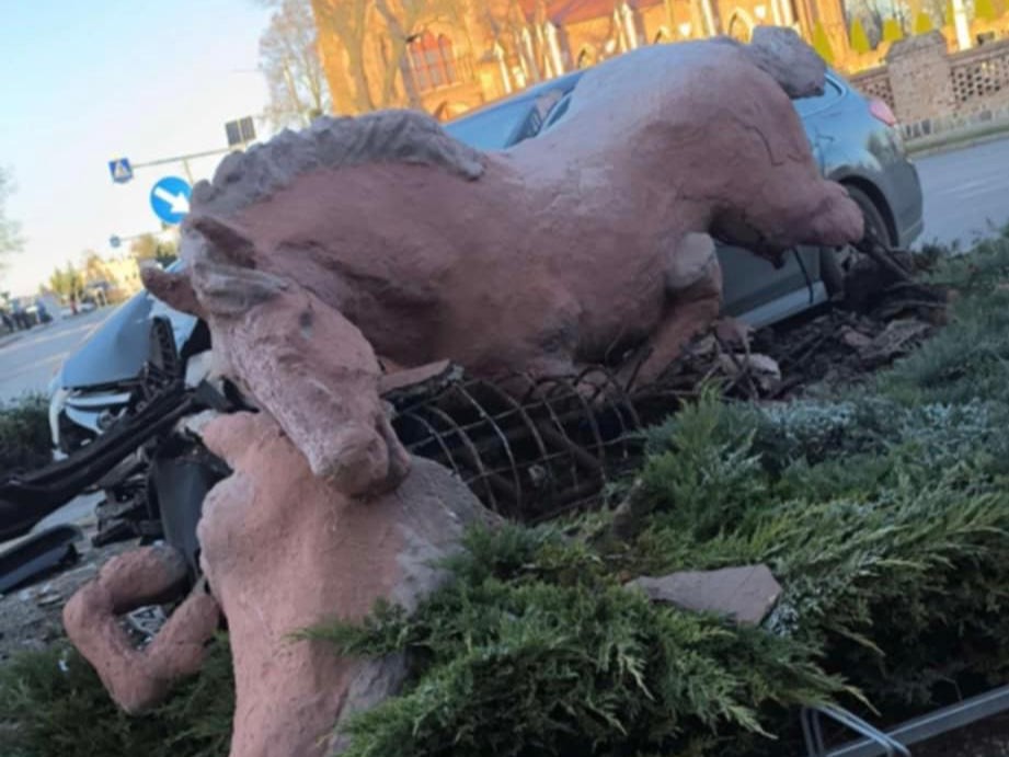 Konie pępowo - KPP Gostyń