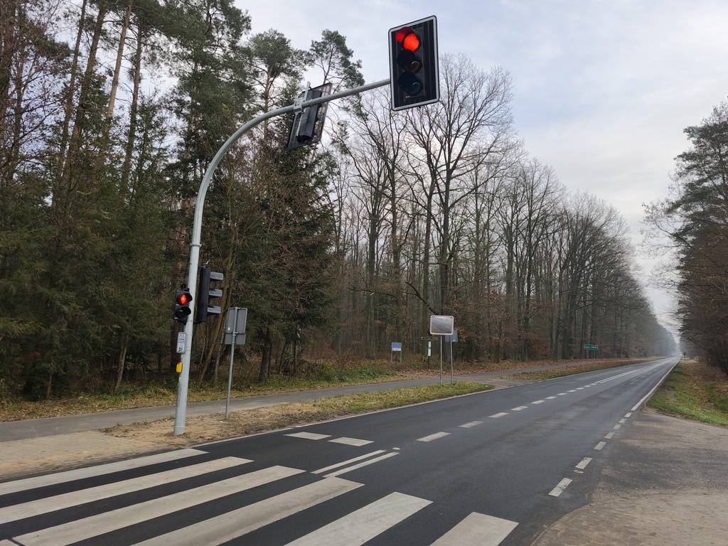 sygnalizacja światła nowy świat - Bartłomiej Klupś