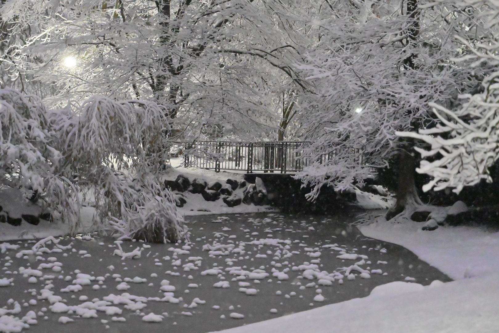 park wilsona śnieg - Wojtek Wardejn - Radio Poznań