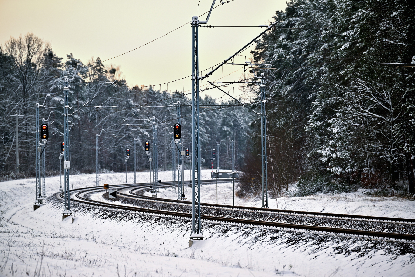tory - Przemysław Piątkowski - PAP