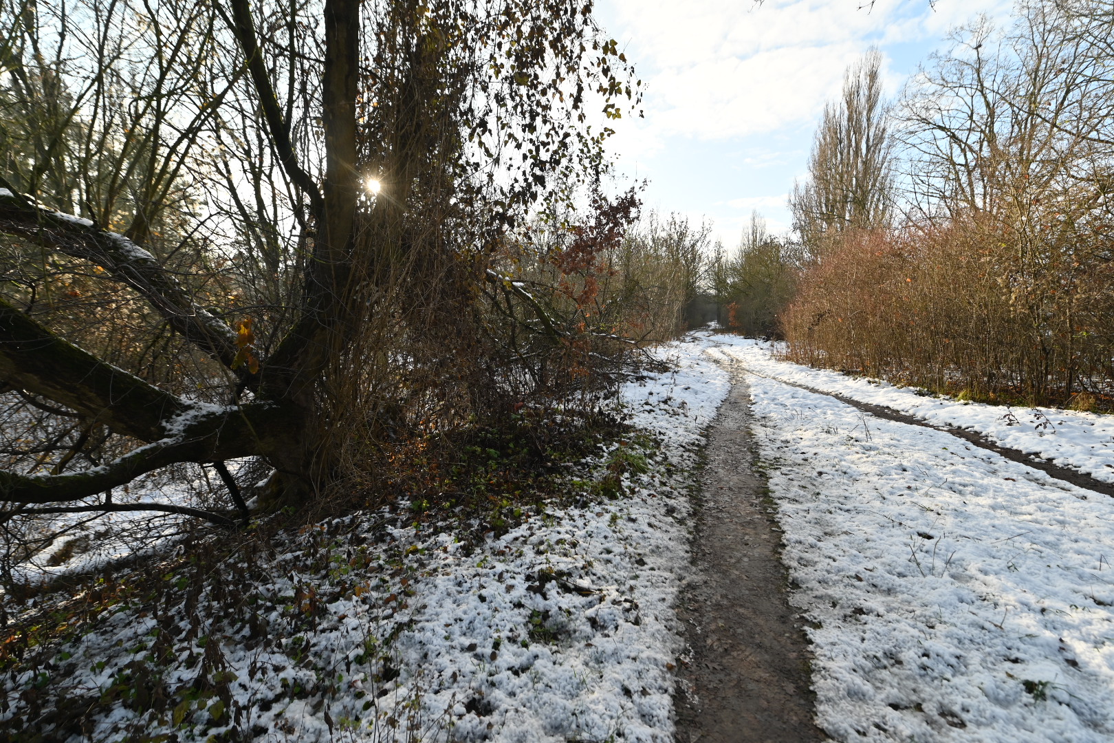 Dębina - Wojtek Wardejn - Radio Poznań