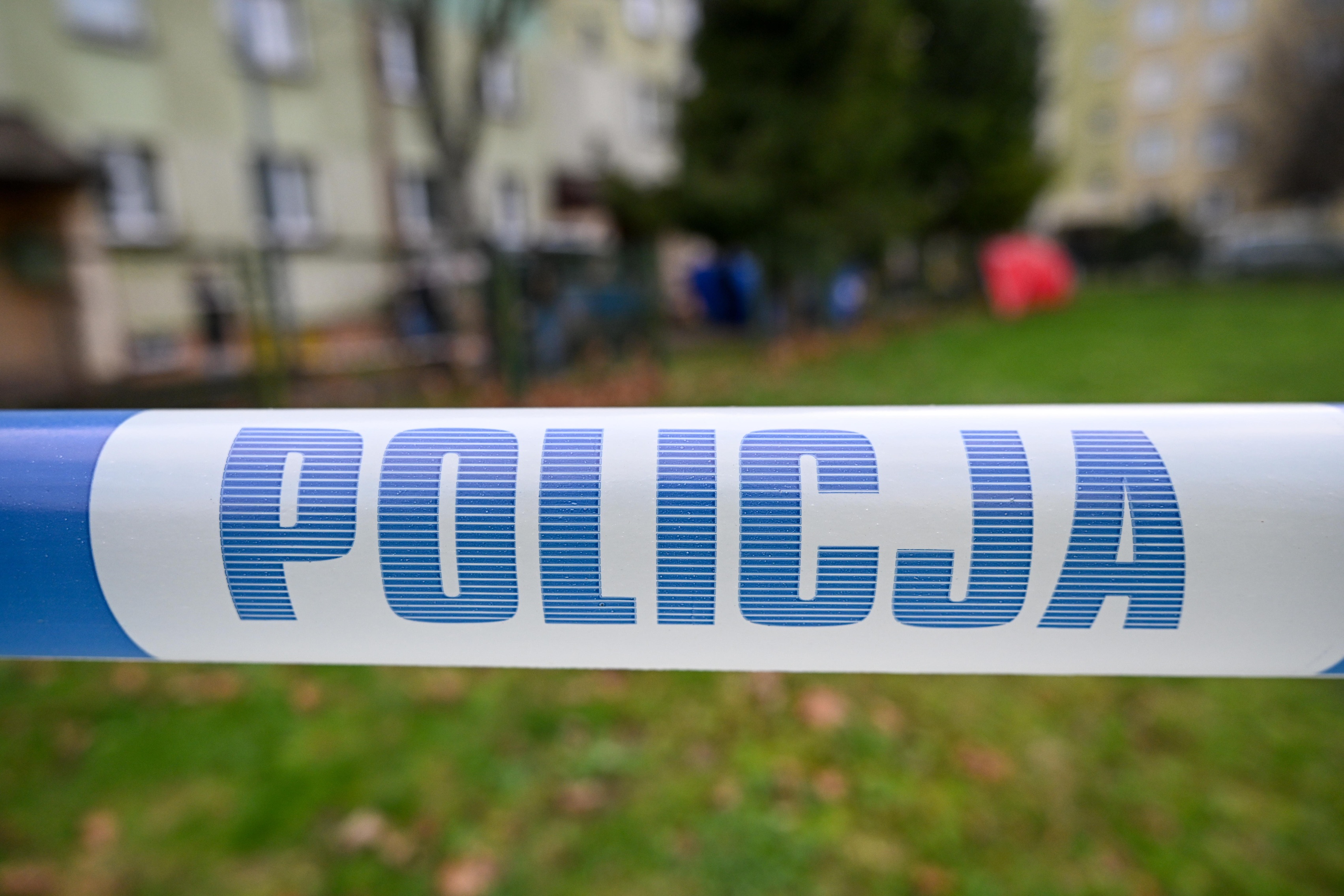 detal - Darek Delmanowicz - PAP