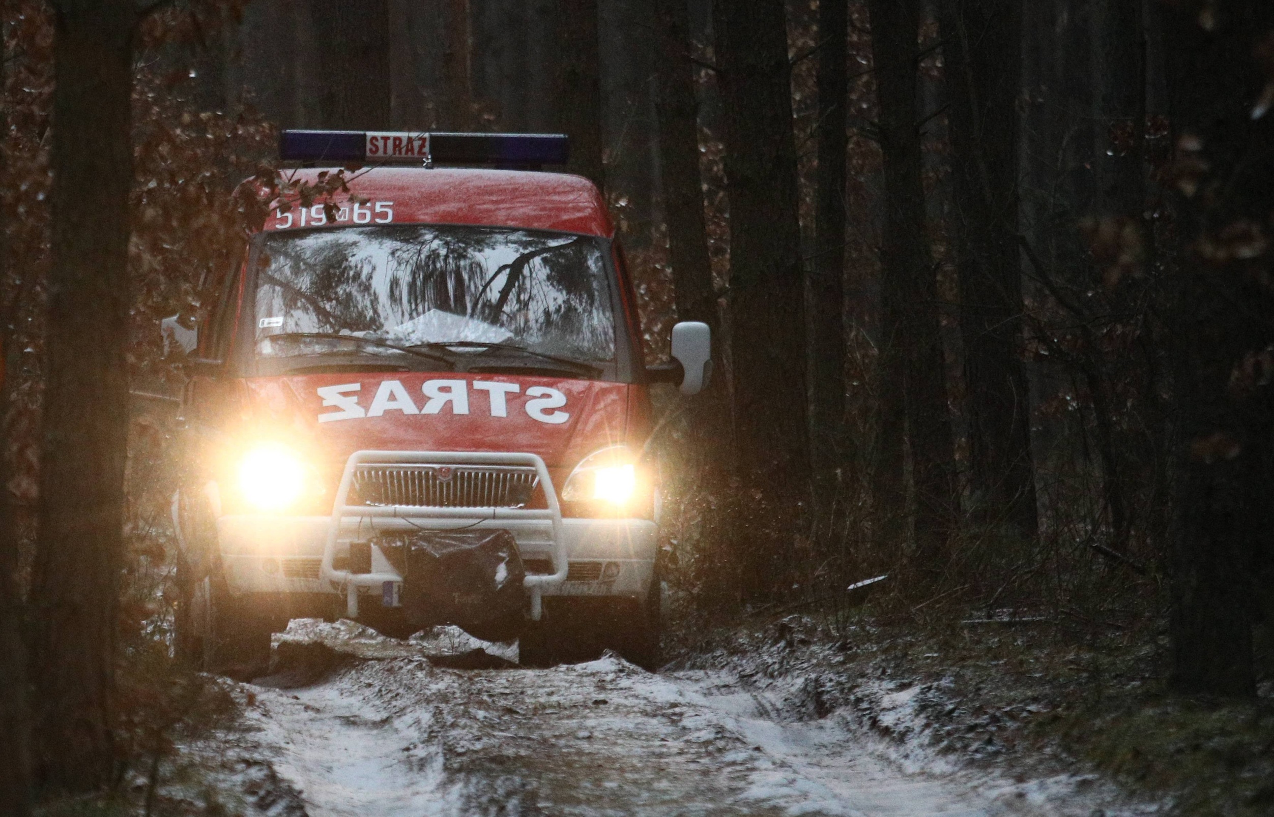 detal - Leszek Szymański - PAP