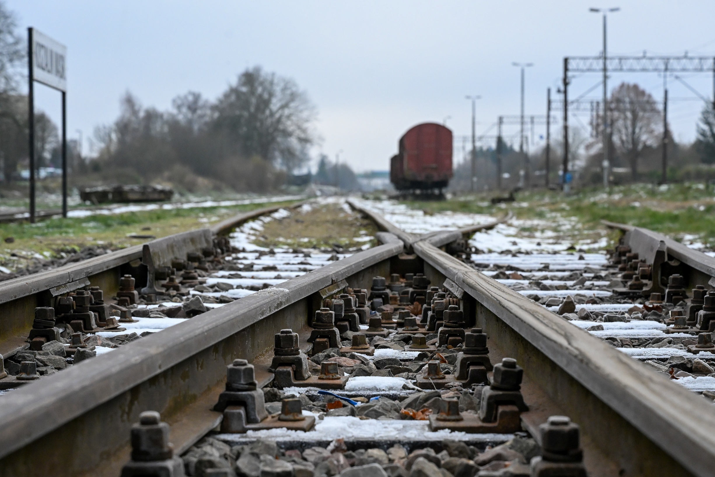 tory - Piotr Kowala - PAP