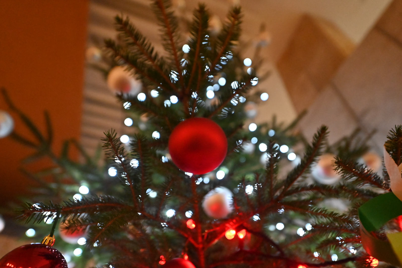 choinka bombki boże narodzenie święta  - Wojtek Wardejn  - Radio Poznań