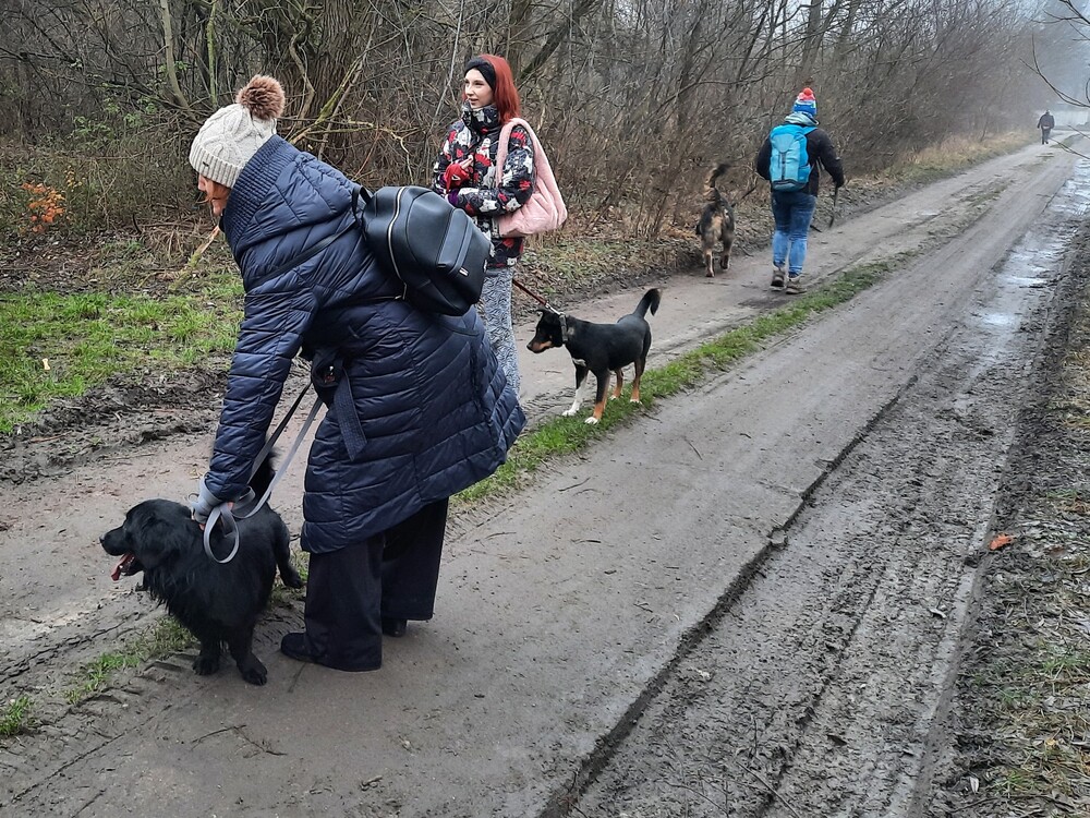 merdające mikołajki psy w koninie - Michalina Maciaszek - Radio Poznań