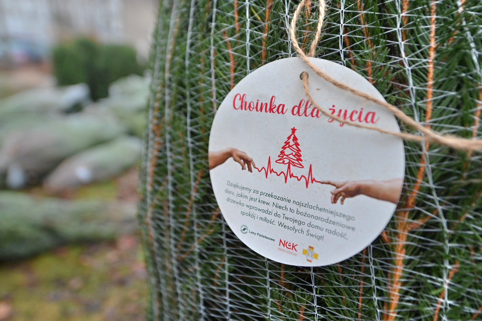 Choinka za krew - Wojtek Wardejn - Radio Poznań