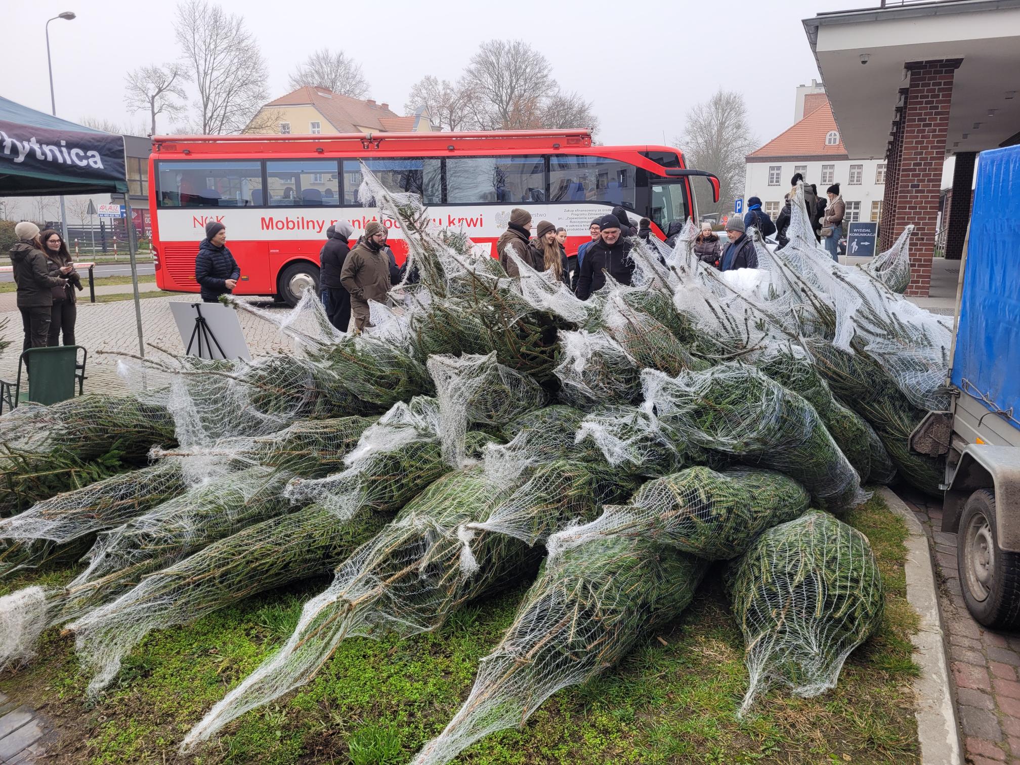 choinki za krew - Marek Wolski - Radio Poznań