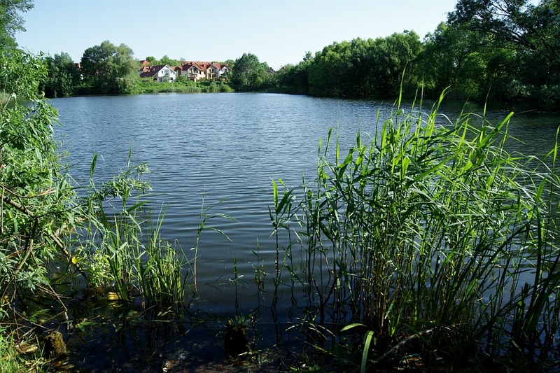 Centrum przyrodnicze Piła - Wiesława Pinkowska