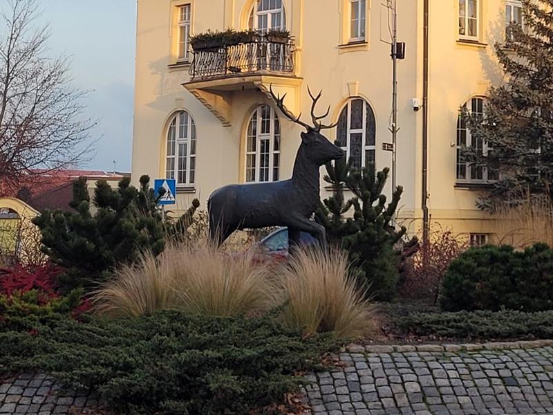 złotów logo - Marek Wolski - Radio Poznań