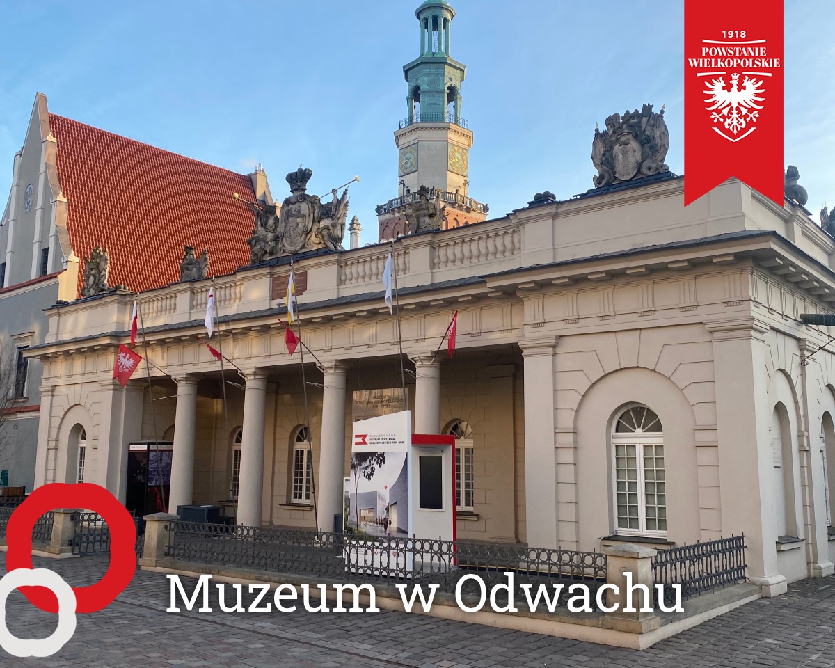 503170202_1131823002322876_6319048712253821142_n - Organizator