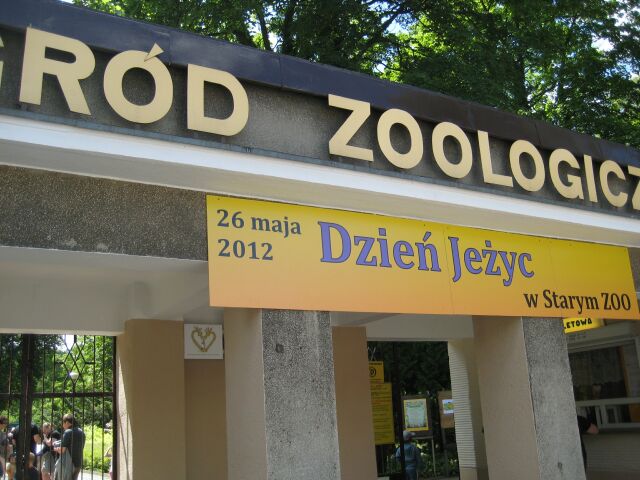 festyn zoo stare - Magdalena Konieczna