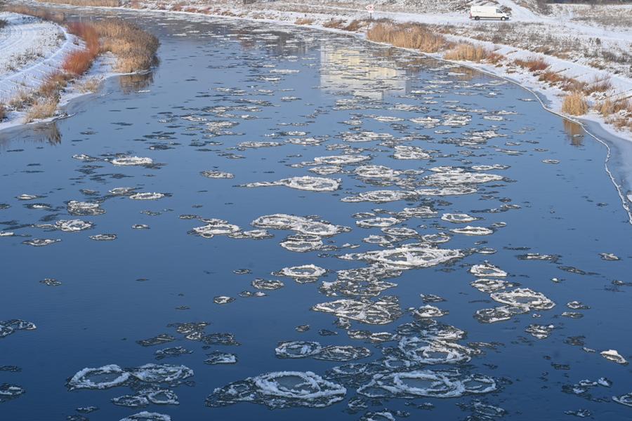 śryż na warcie mróz zimno - Wojtek Wardejn - Radio Poznań