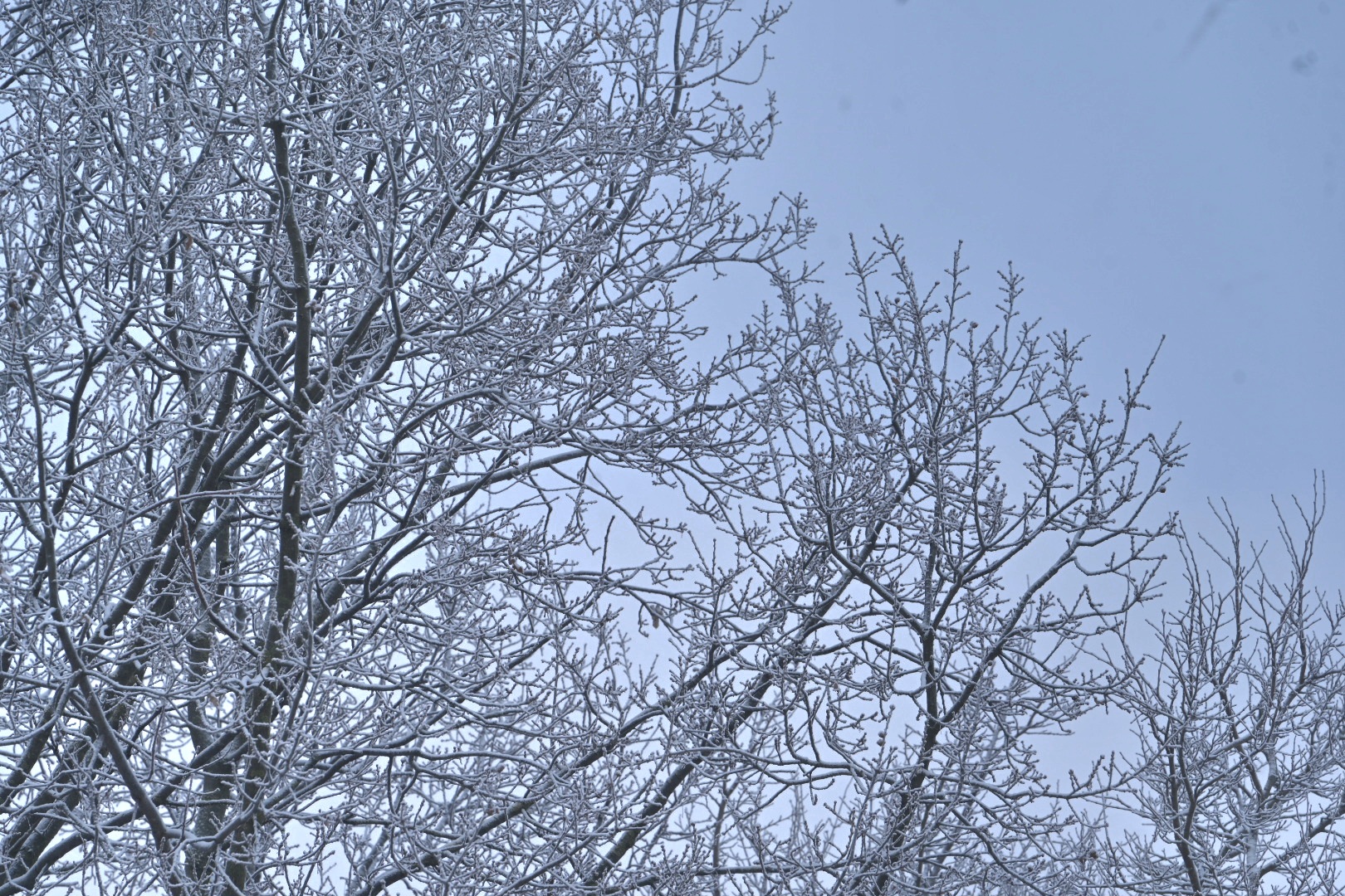 śnieg zima mróz  - Wojtek Wardejn  - Radio Poznań