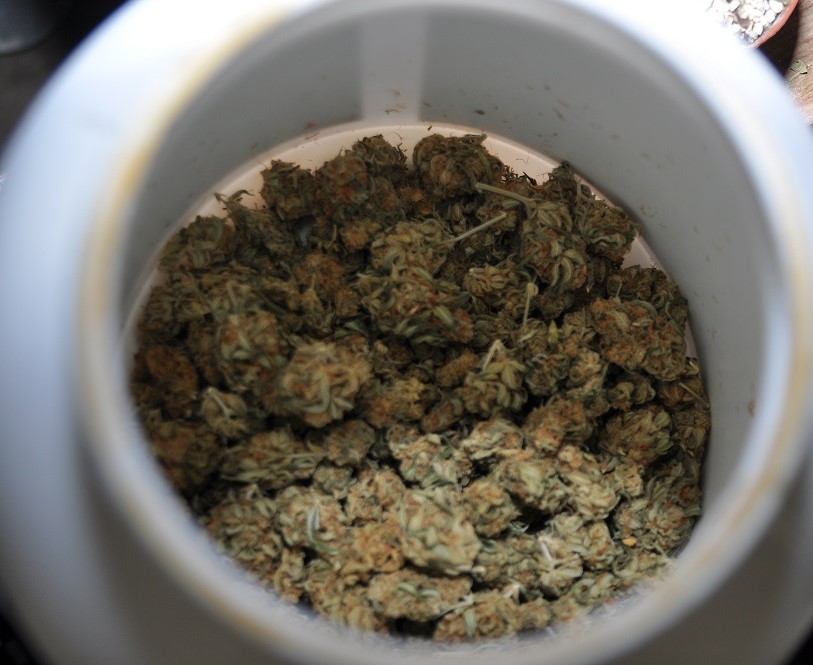 marihuana - KPP Września