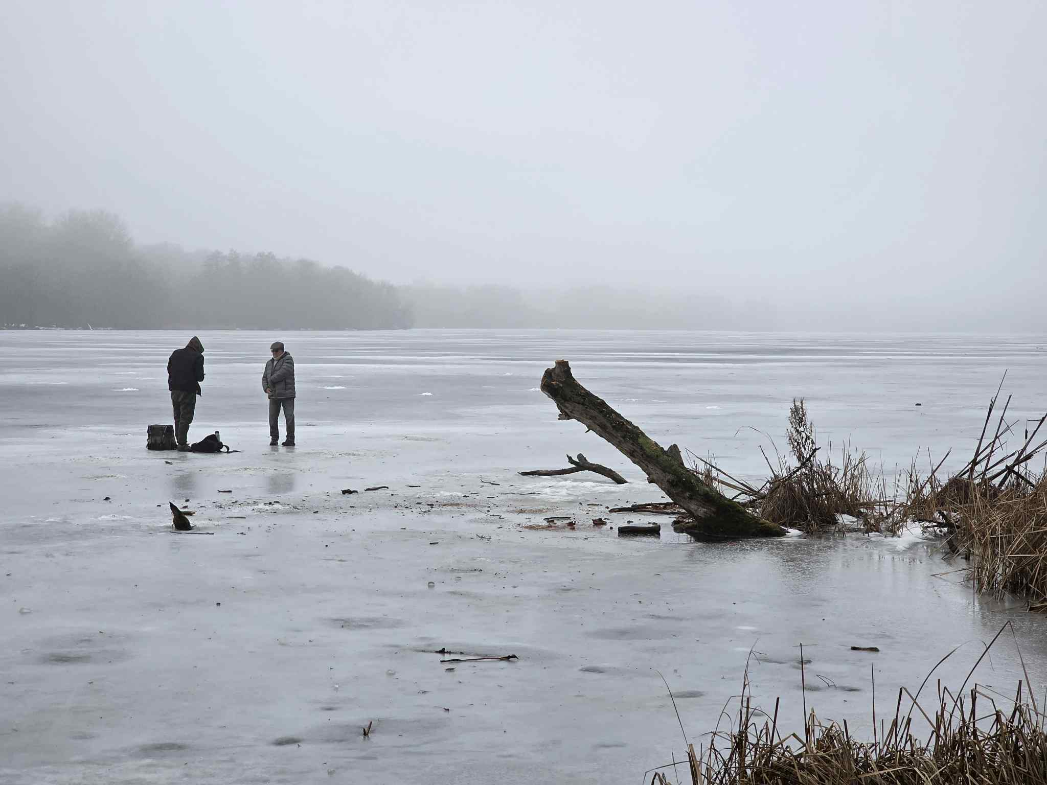 drzewo nad rusałką - Krzysztof Polasik - Radio Poznań