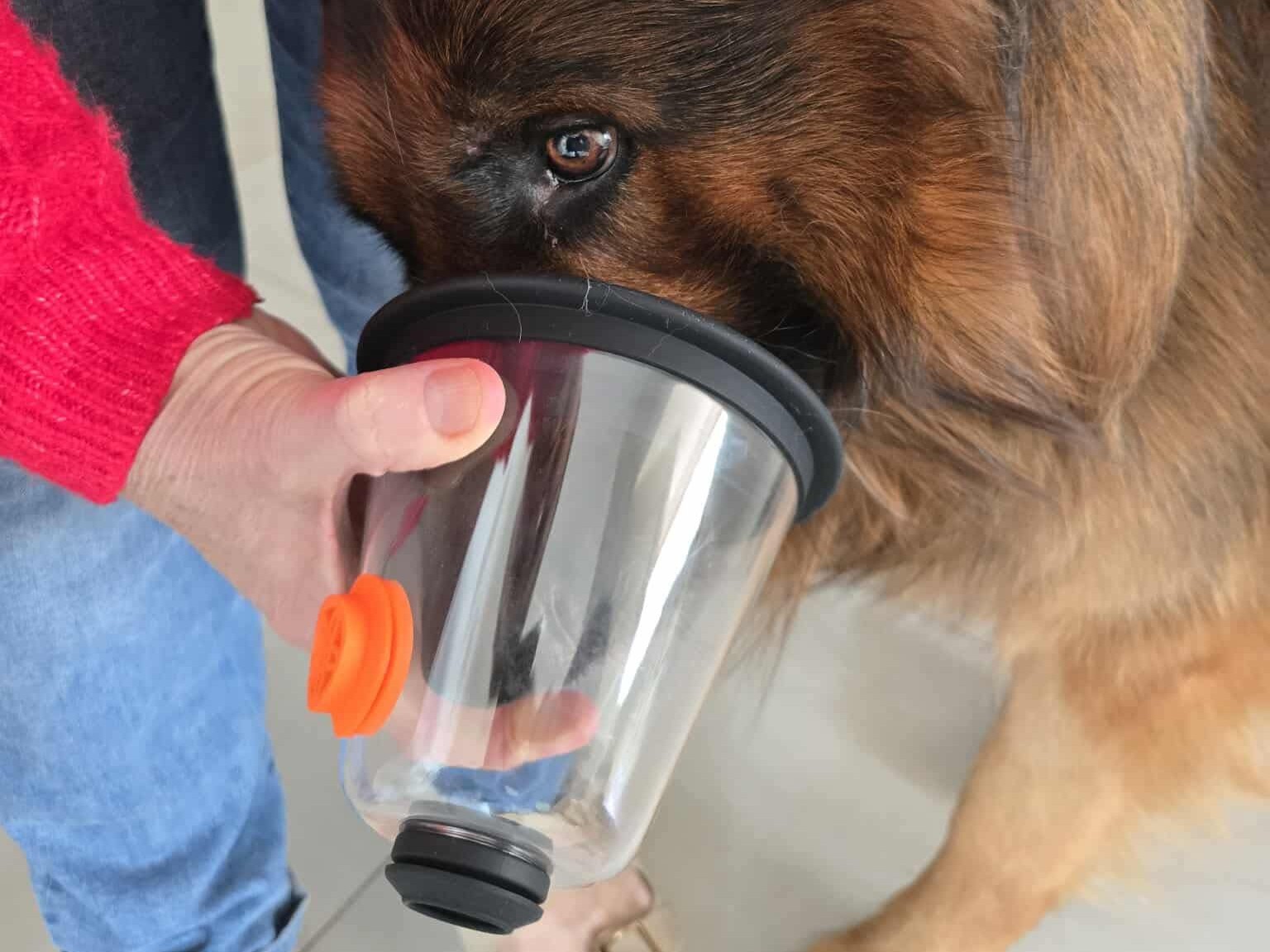 Maska pies - Paweł Wasila - OSP Rogoźno