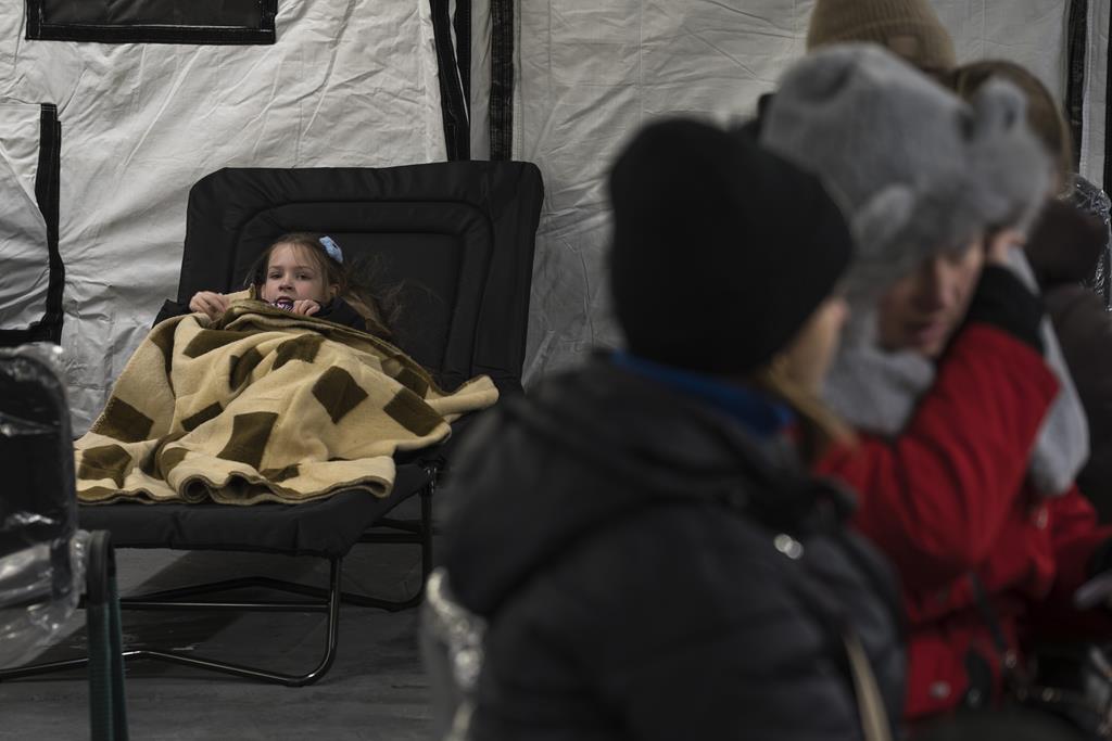 pap_20260125_2O0 (Copy) - Vladyslav Musiienko - PAP