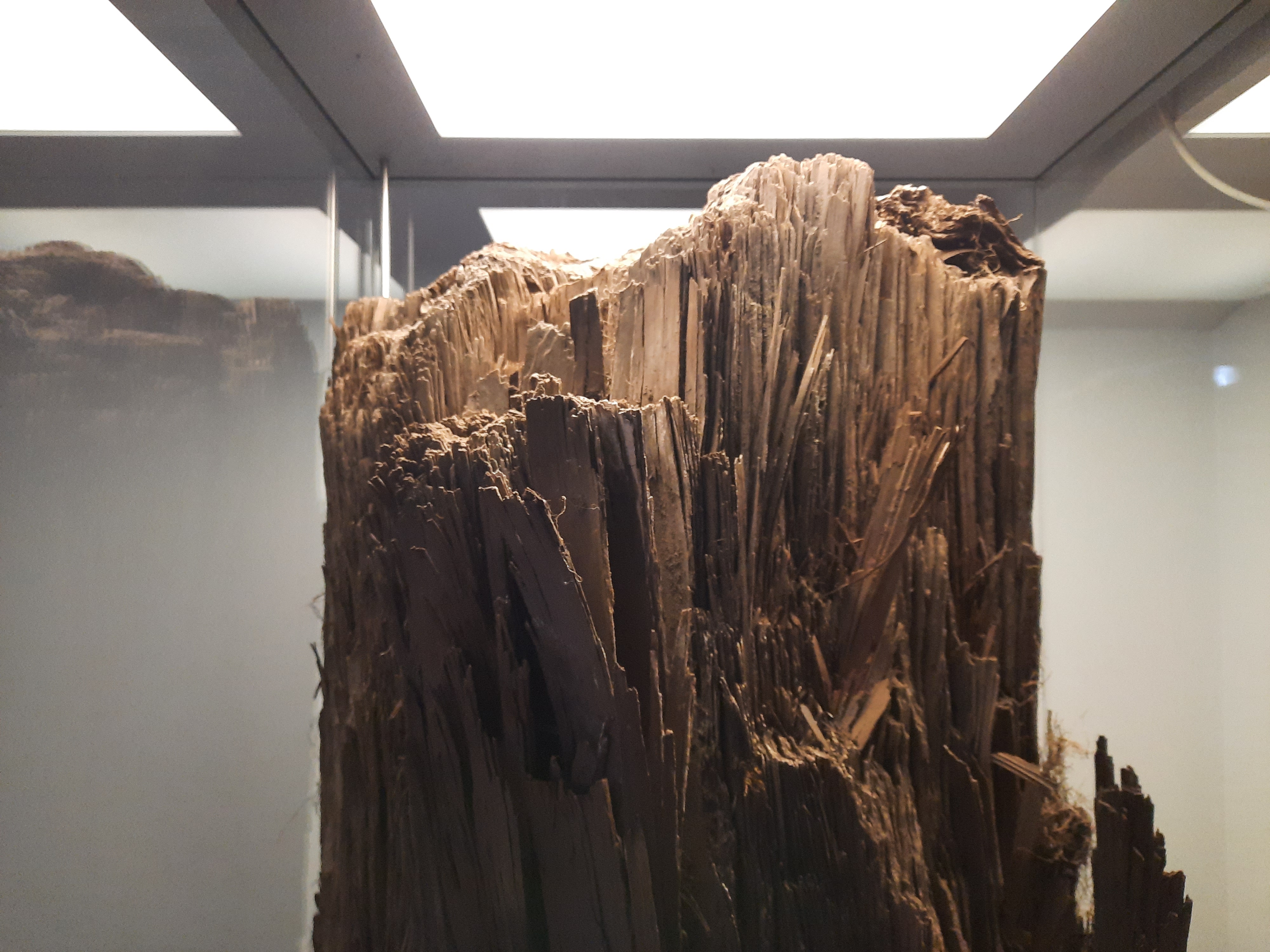 ksylit - Michalina Maciaszek - Radio Poznań